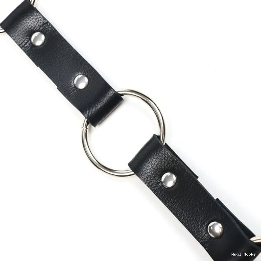 Anal Hooks with Leash Anal Kinky and Collar Hook EverydayUse 5853 0911